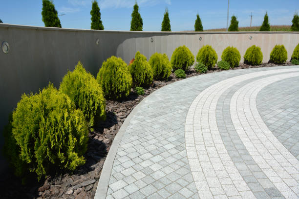 Best Concrete Paver Driveway  in Citrus Park, FL